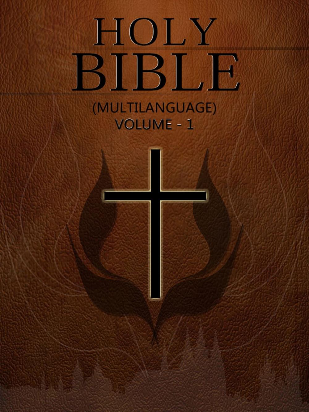 Big bigCover of Holy Bible (Multilanguage) Volume 1