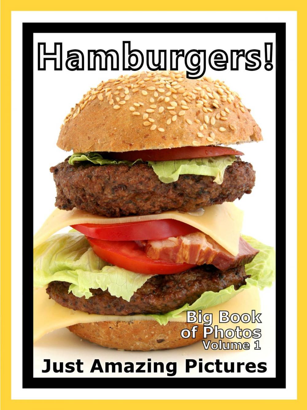 Big bigCover of Just Hamburger Sandwich Photos! Big Book of Photographs & Pictures of Hamburgers Sandwiches, Vol. 1