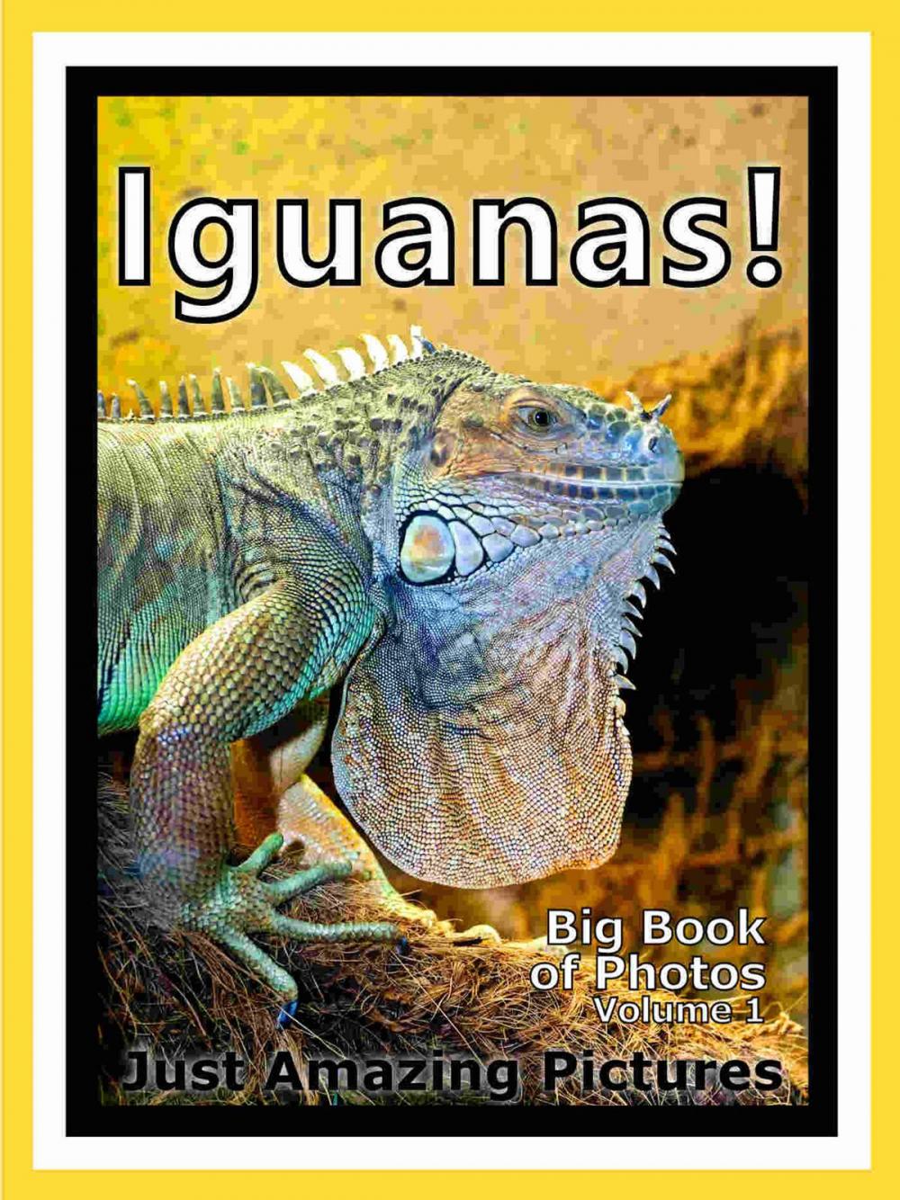 Big bigCover of Just Iguana Lizard Photos! Big Book of Photographs & Pictures of Iguana Lizards, Vol. 1