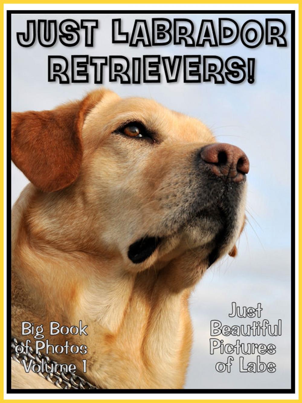 Big bigCover of Just Labrador Retriever Photos! Big Book of Lab Dog Photographs & Pictures Vol. 1