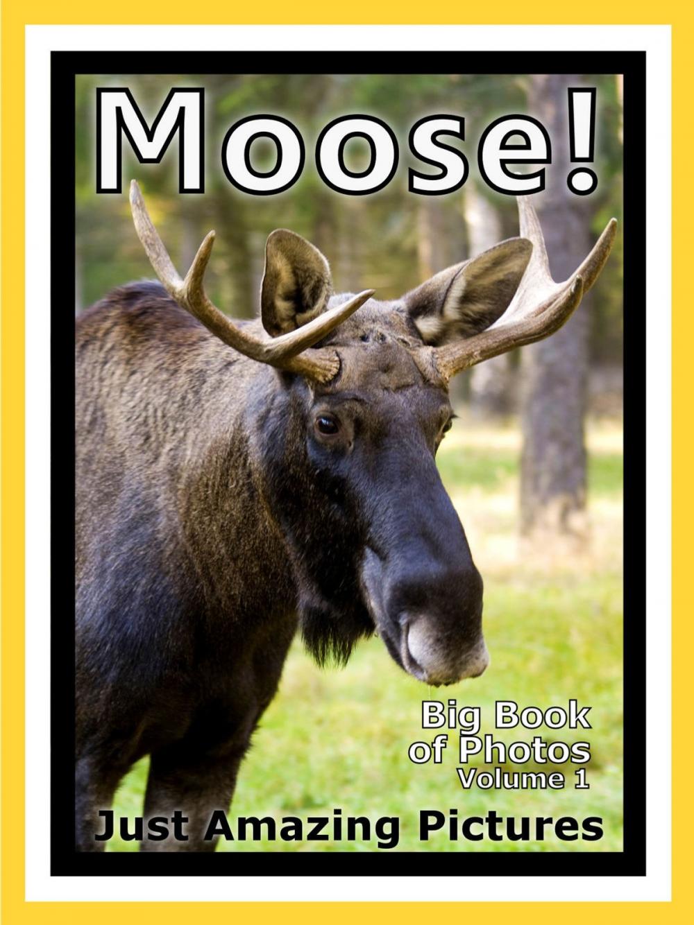 Big bigCover of Just Moose & Elk Photos! Big Book of Photographs & Pictures of Moose & Elk, Vol. 1