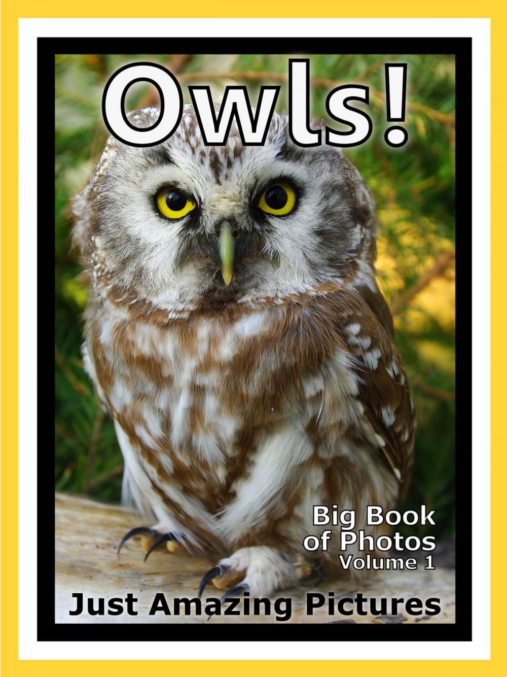 Big bigCover of Just Owl Photos! Big Book of Photographs & Pictures of Owls, Vol. 1