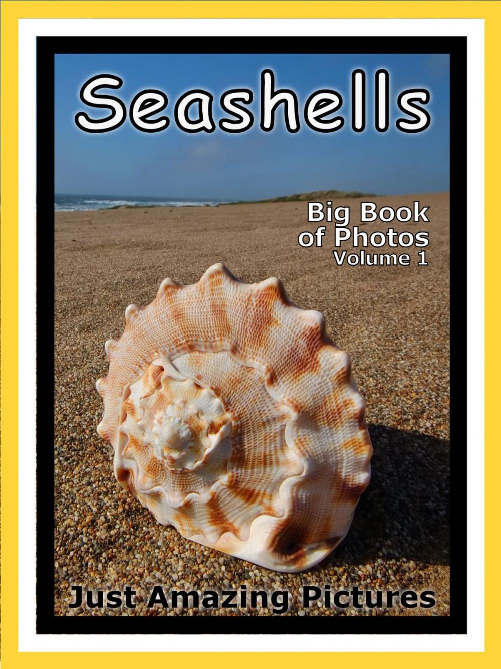 Big bigCover of Just Seashell Photos! Big Book of Photographs & Pictures of Ocean Seashells, Vol. 1