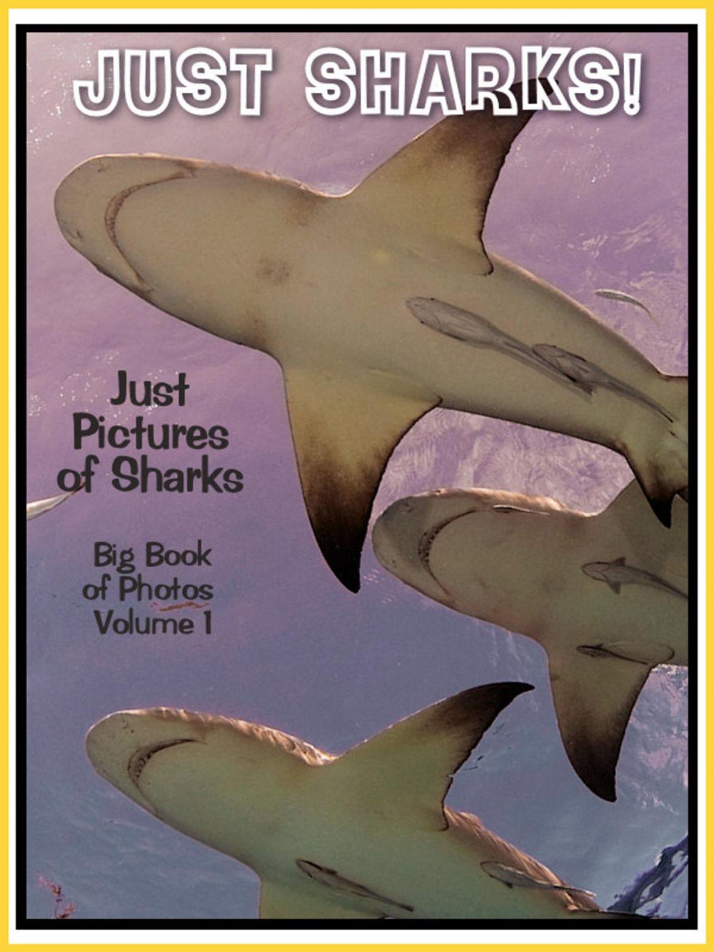 Big bigCover of Just Shark Photos! Big Book of Shark Photographs & Pictures, Vol. 1