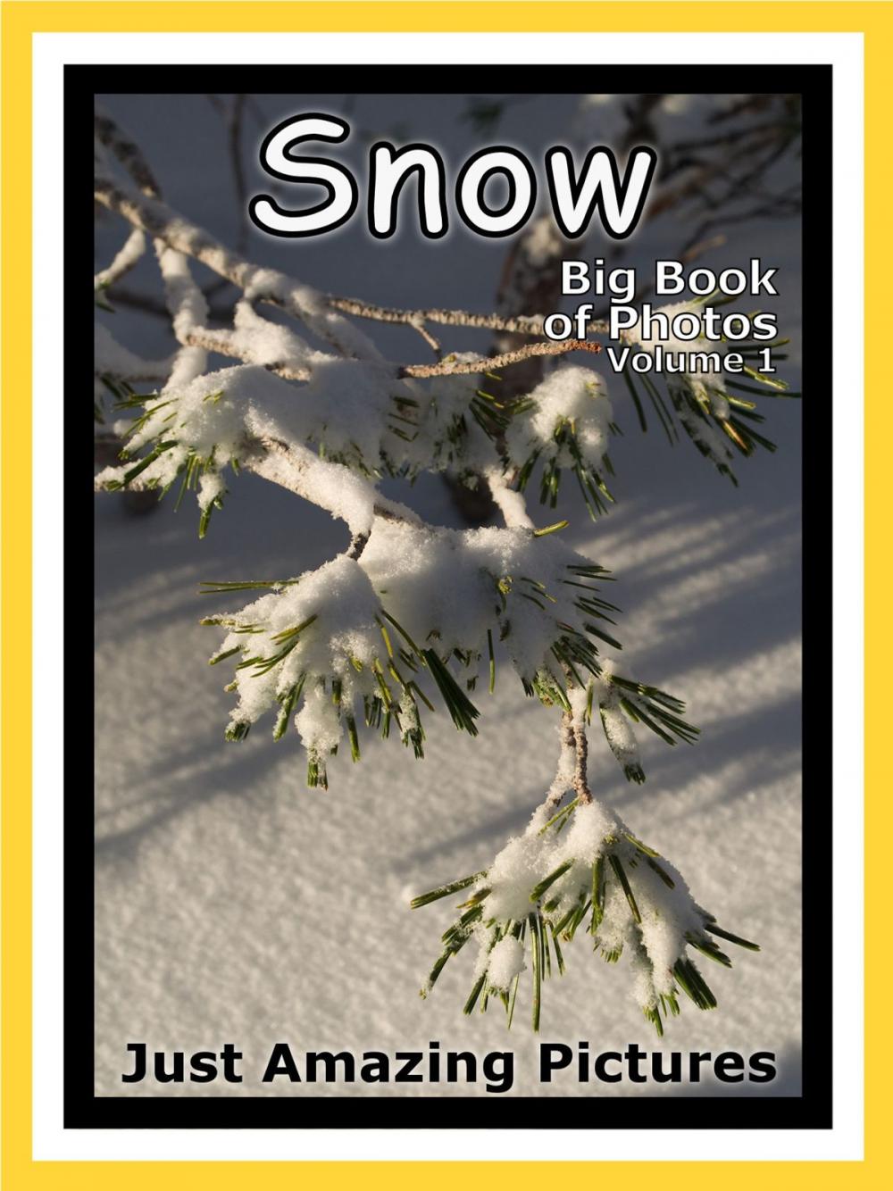 Big bigCover of Just Snow Photos! Big Book of Photographs & Pictures of Winter Snow, Vol. 1