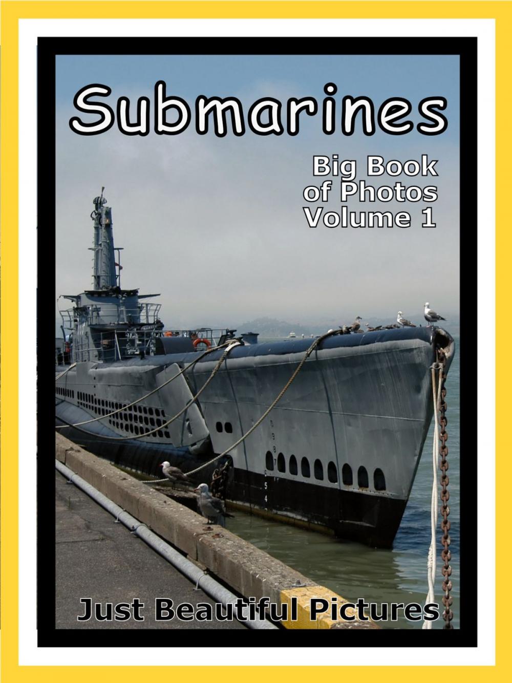 Big bigCover of Just Submarine Photos! Photographs & Pictures of Submarines, Vol. 1