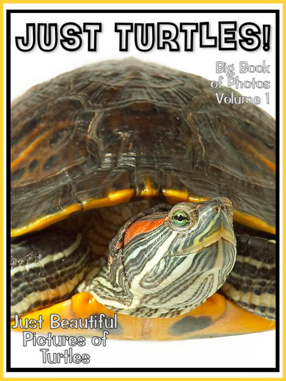 Big bigCover of Just Turtle Photos! Big Book of Photographs & Pictures of Turtles, Vol. 1