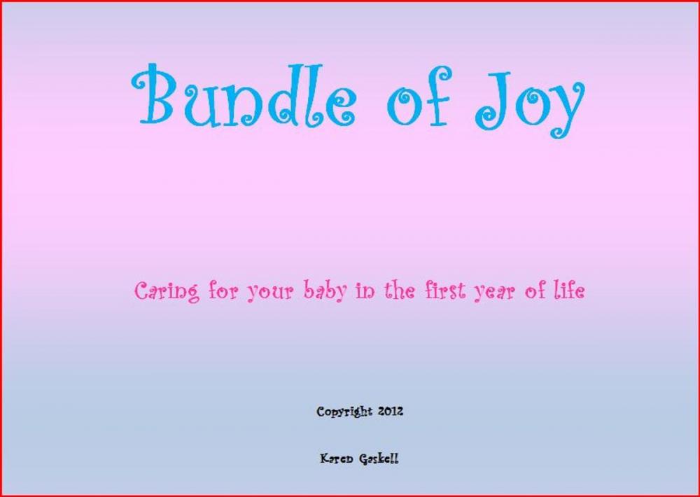 Big bigCover of Bundle of Joy