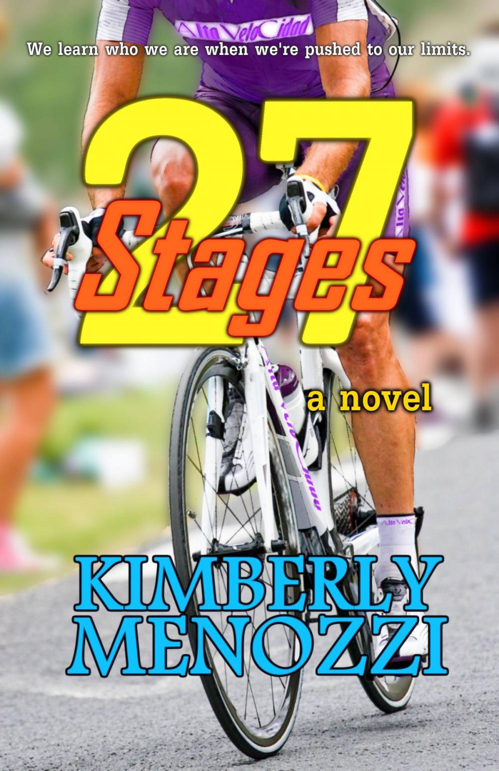 Big bigCover of 27 Stages (a novel)