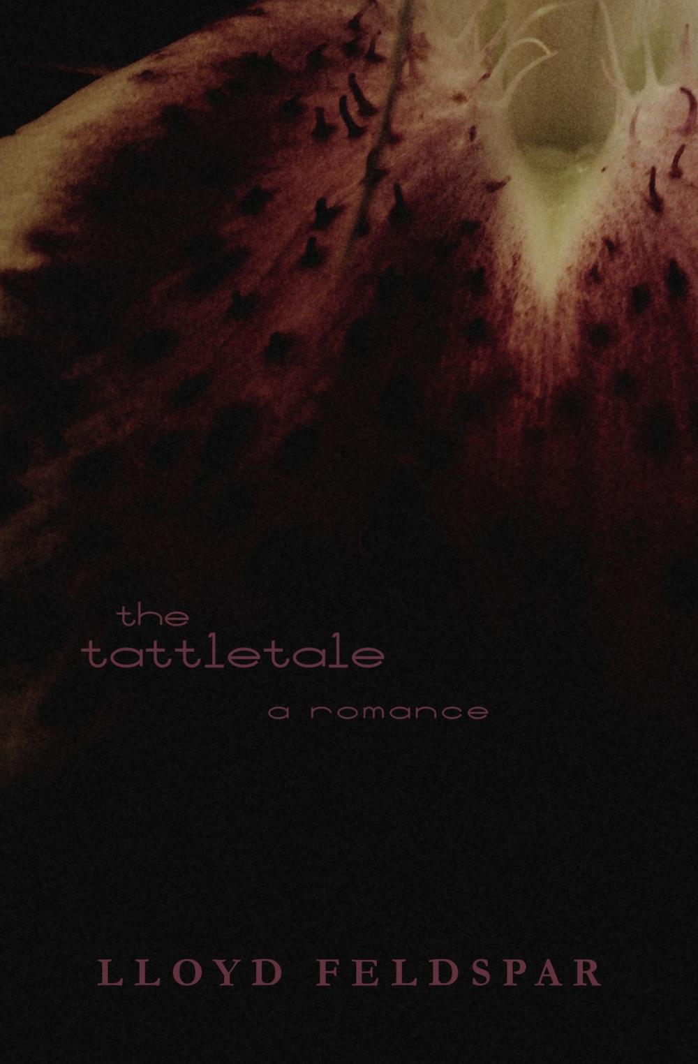 Big bigCover of The Tattletale: a romance