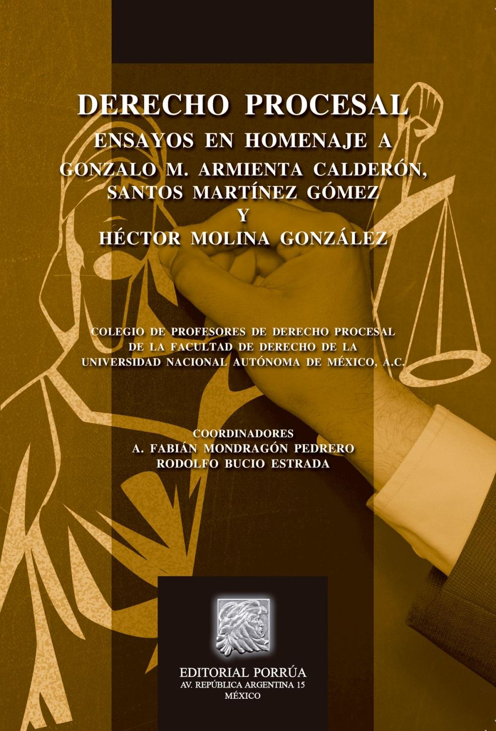 Big bigCover of Derecho procesal: Ensayos en homenaje a Gonzalo M. Armienta Calderón, Santos Martínez Gómez y Héctor Molina González