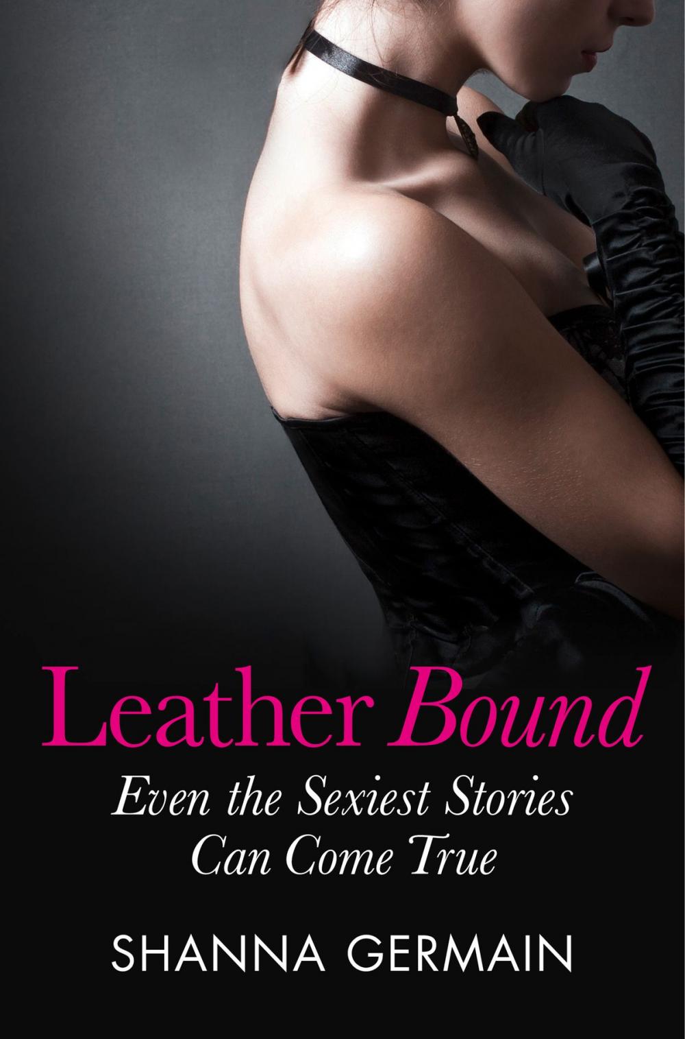 Big bigCover of Leather Bound