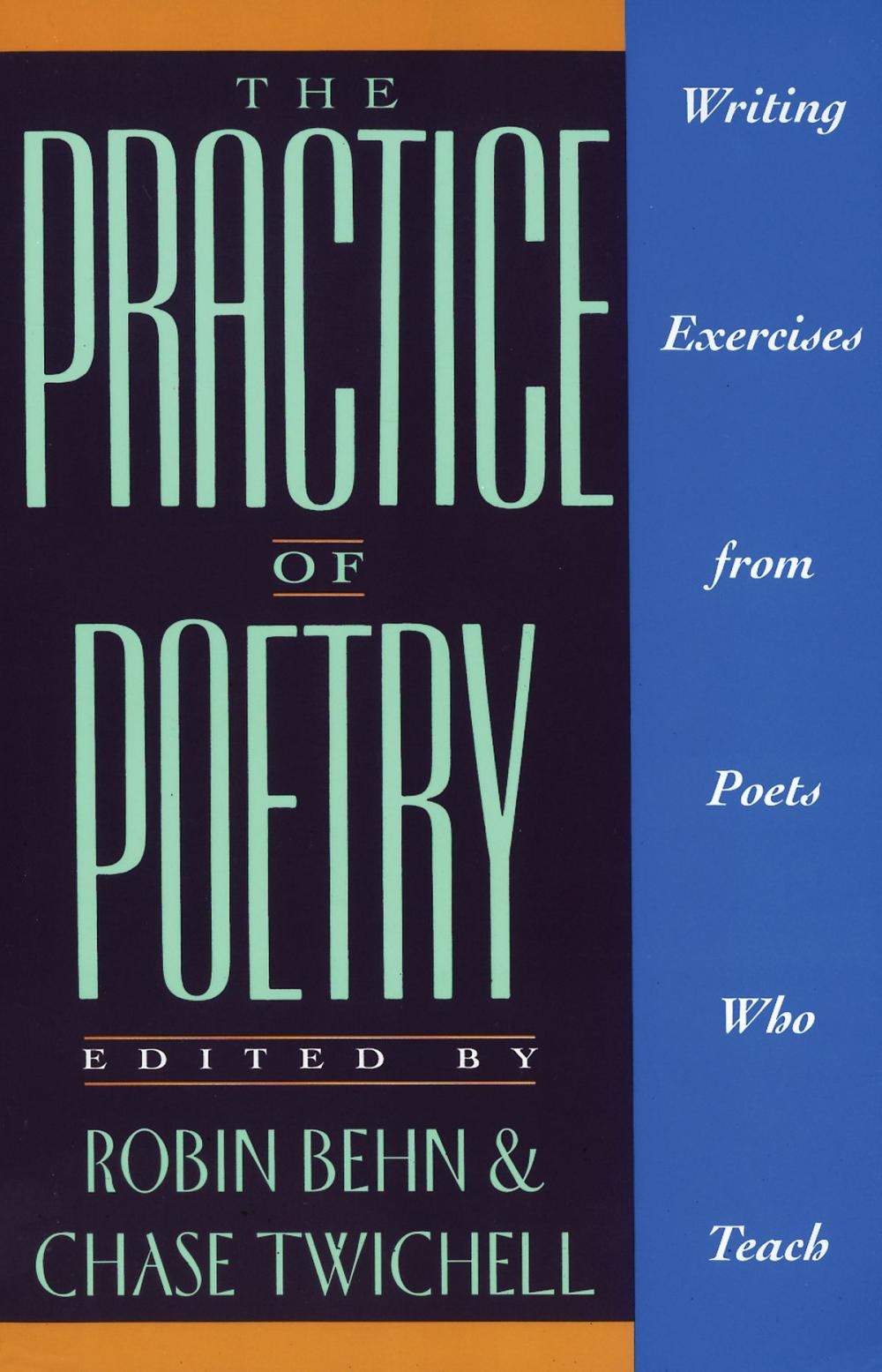 Big bigCover of The Practice of Poetry