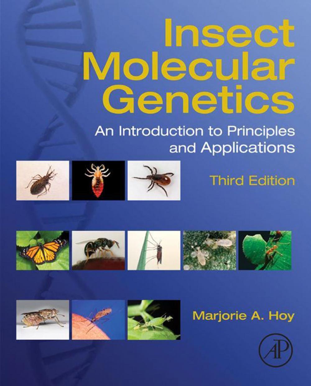 Big bigCover of Insect Molecular Genetics