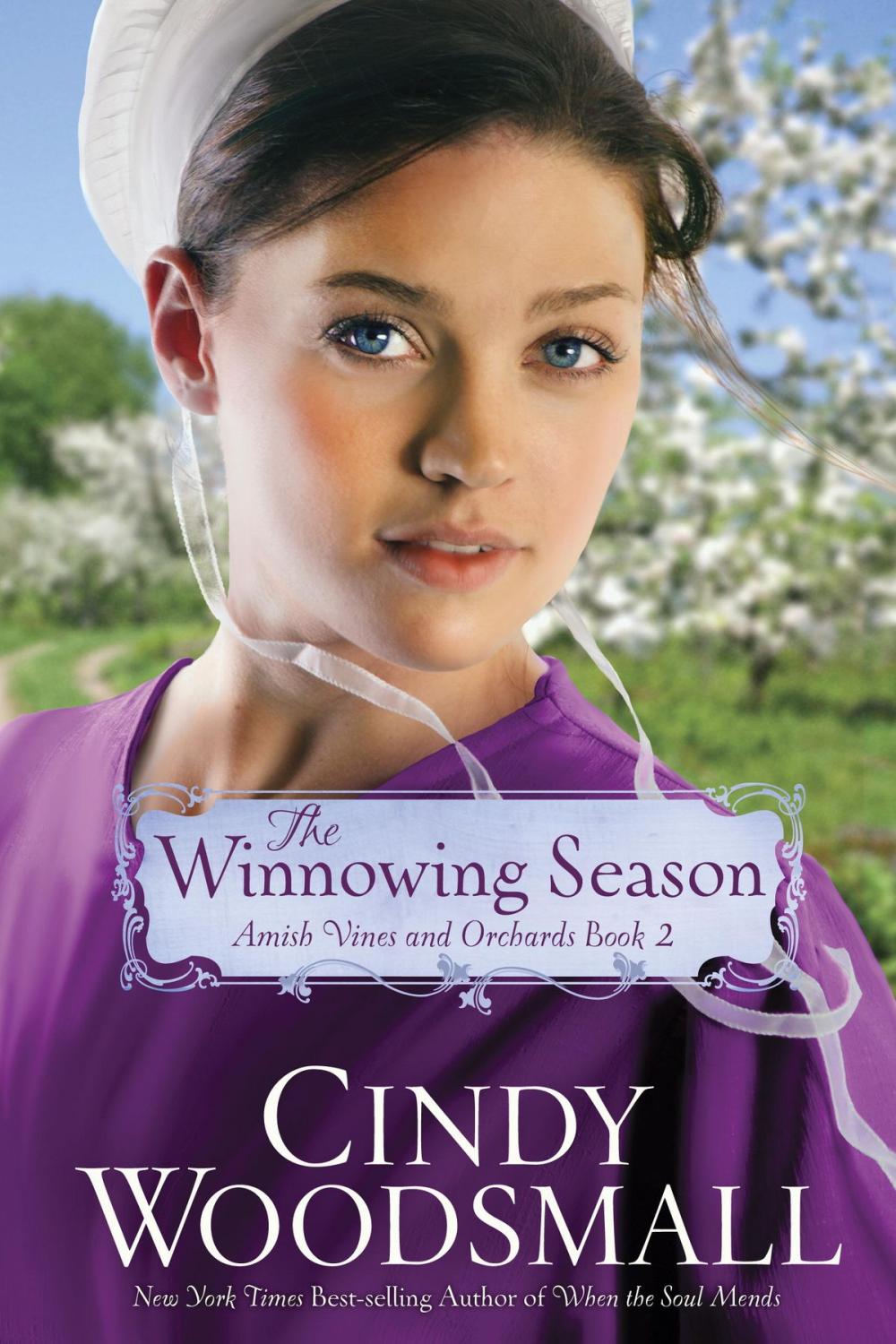 Big bigCover of The Winnowing Season