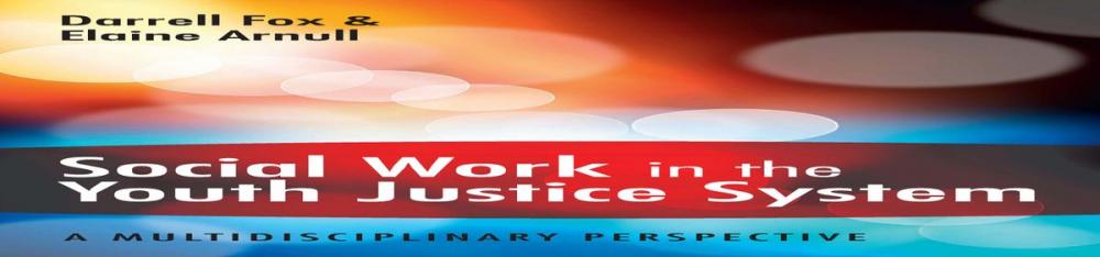 Big bigCover of Social Work In The Youth Justice System: A Multidisciplinary Perspective