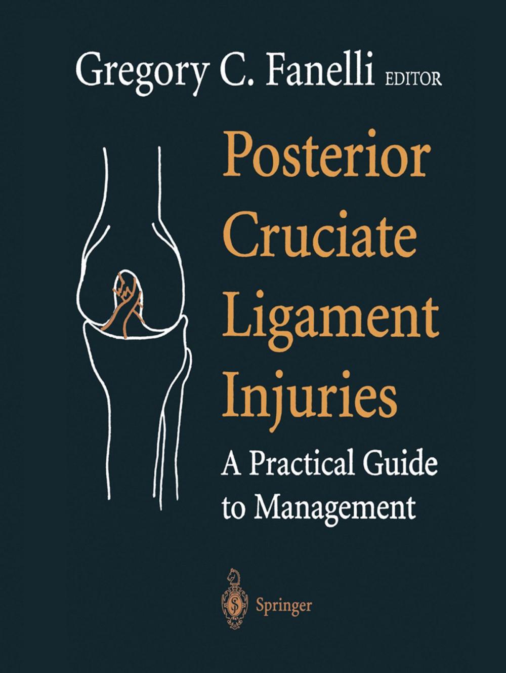 Big bigCover of Posterior Cruciate Ligament Injuries