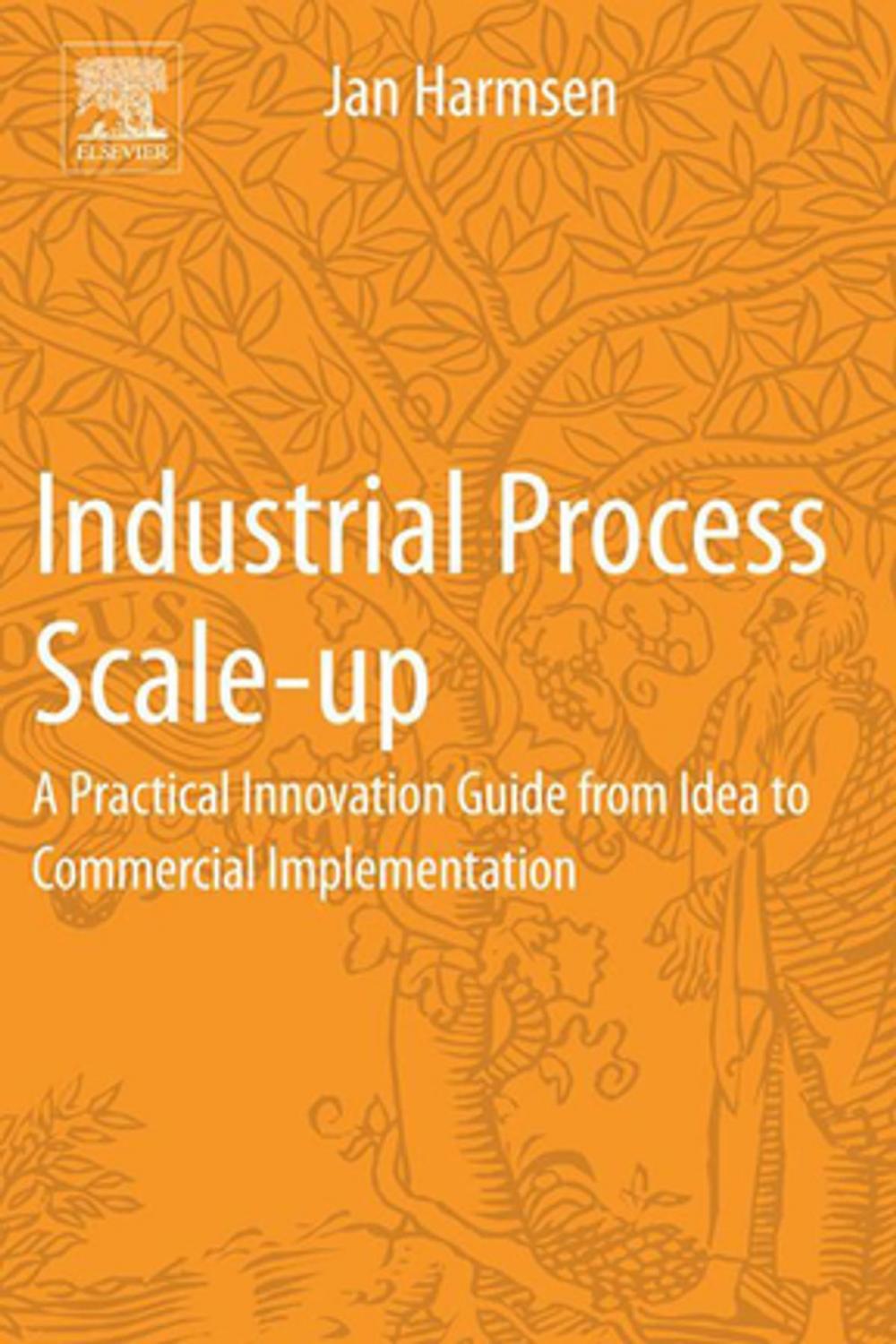 Big bigCover of Industrial Process Scale-up