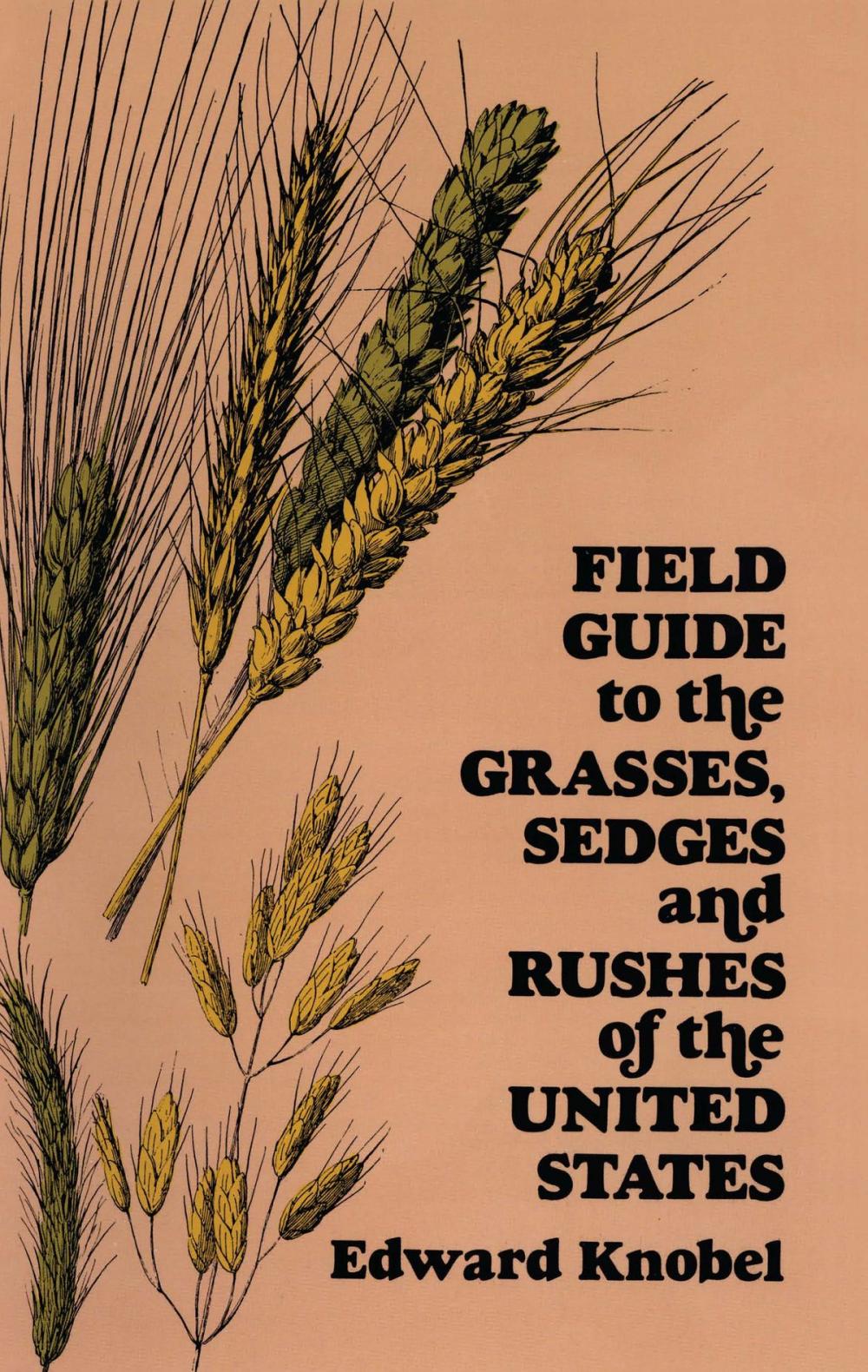 Big bigCover of Field Guide to the Grasses, Sedges, and Rushes of the United States