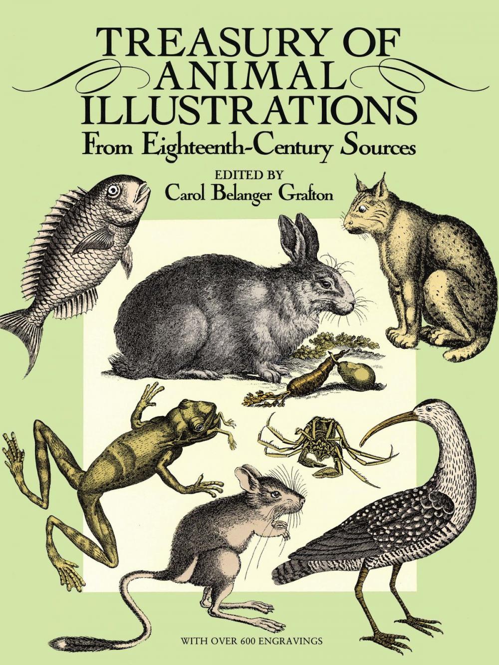 Big bigCover of Treasury of Animal Illustrations