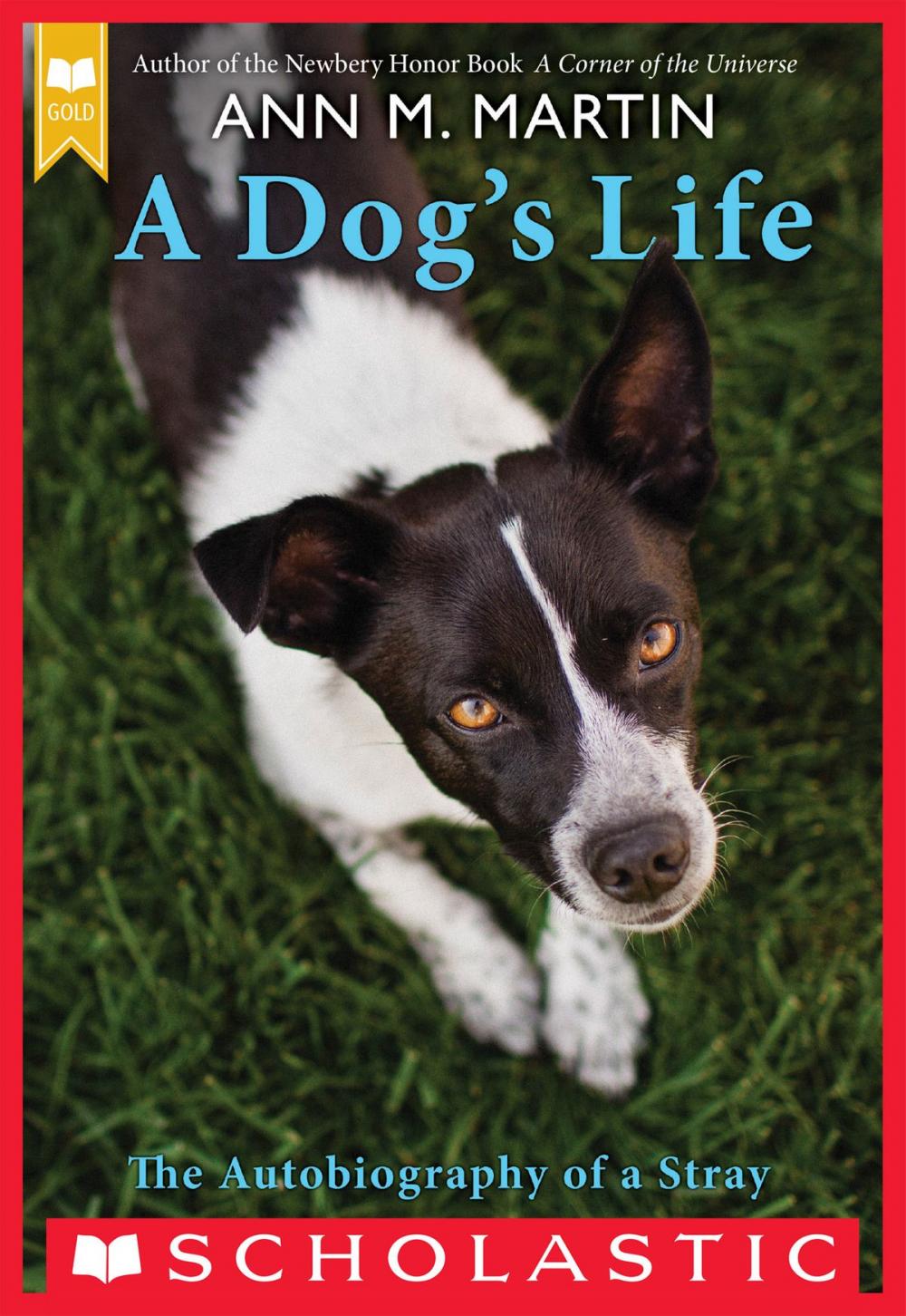 Big bigCover of A Dog's Life: The Autobiography of a Stray