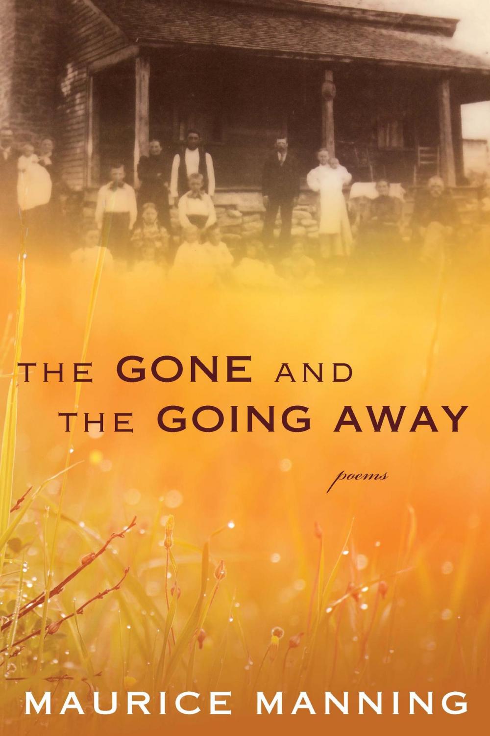 Big bigCover of The Gone and the Going Away