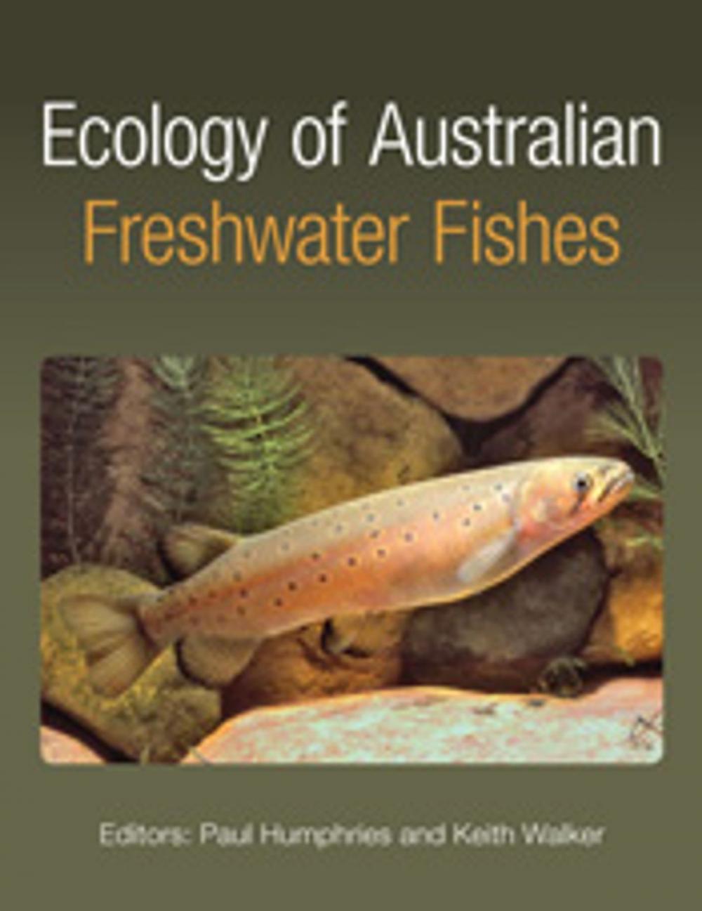 Big bigCover of Ecology of Australian Freshwater Fishes