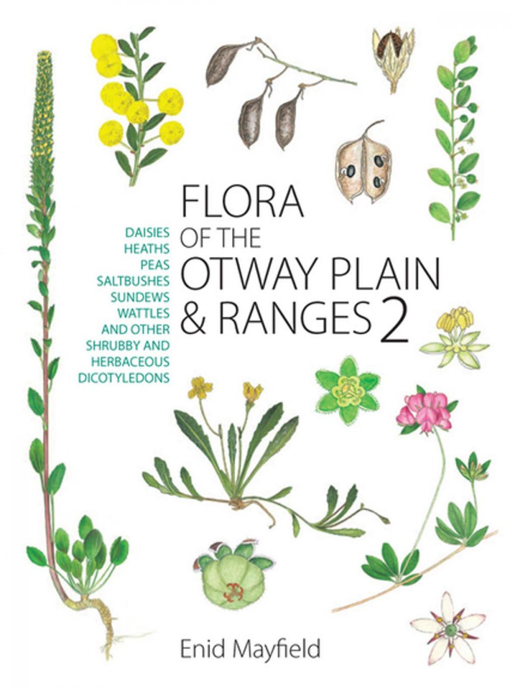 Big bigCover of Flora of the Otway Plain and Ranges 2