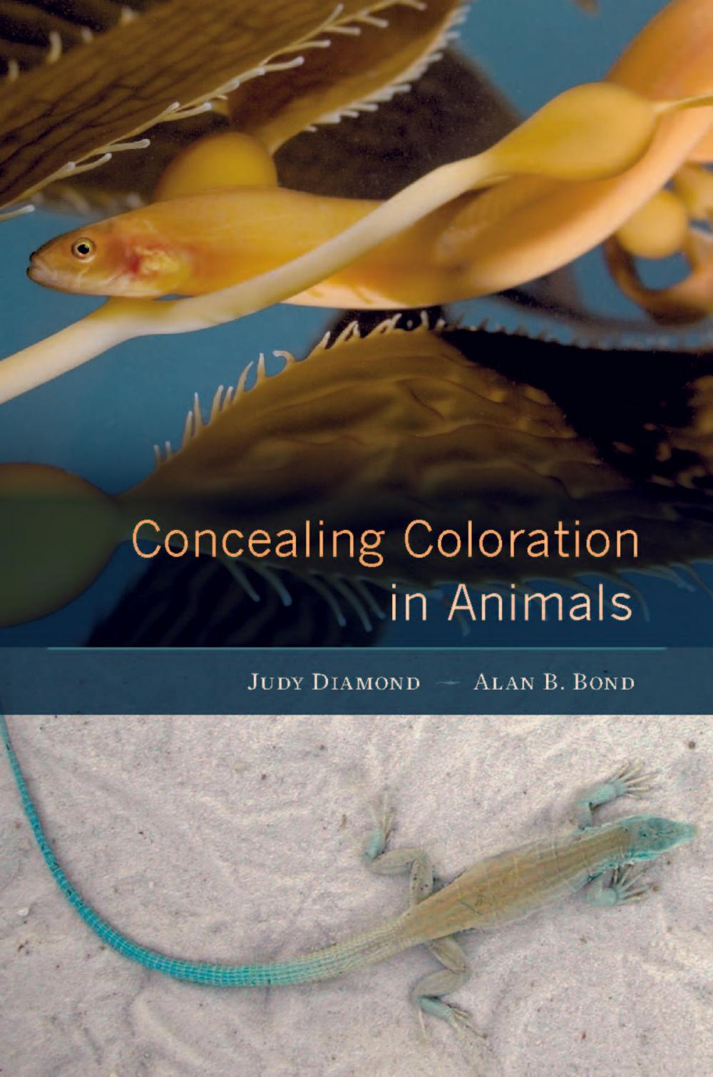 Big bigCover of Concealing Coloration in Animals