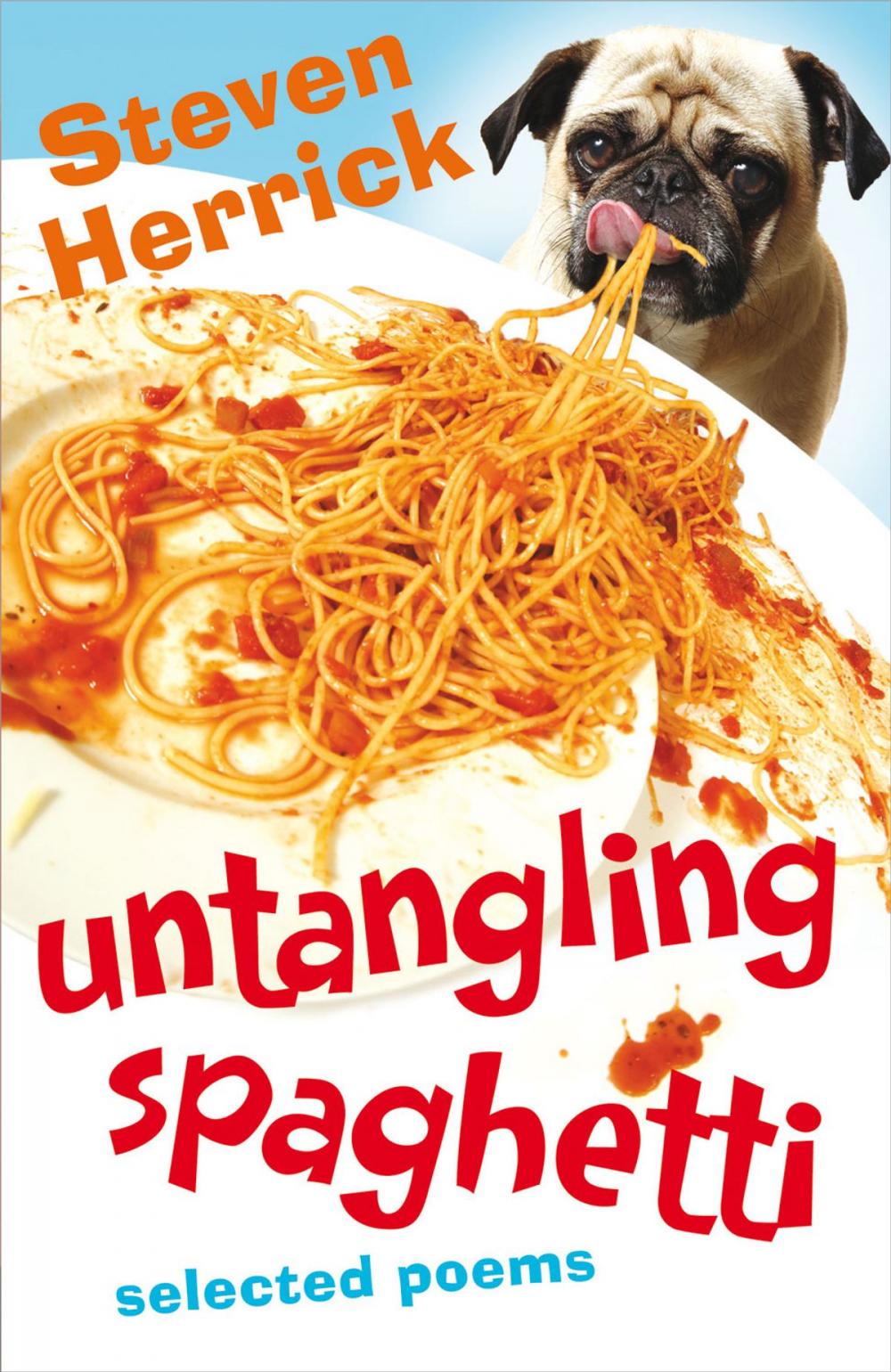 Big bigCover of Untangling Spaghetti