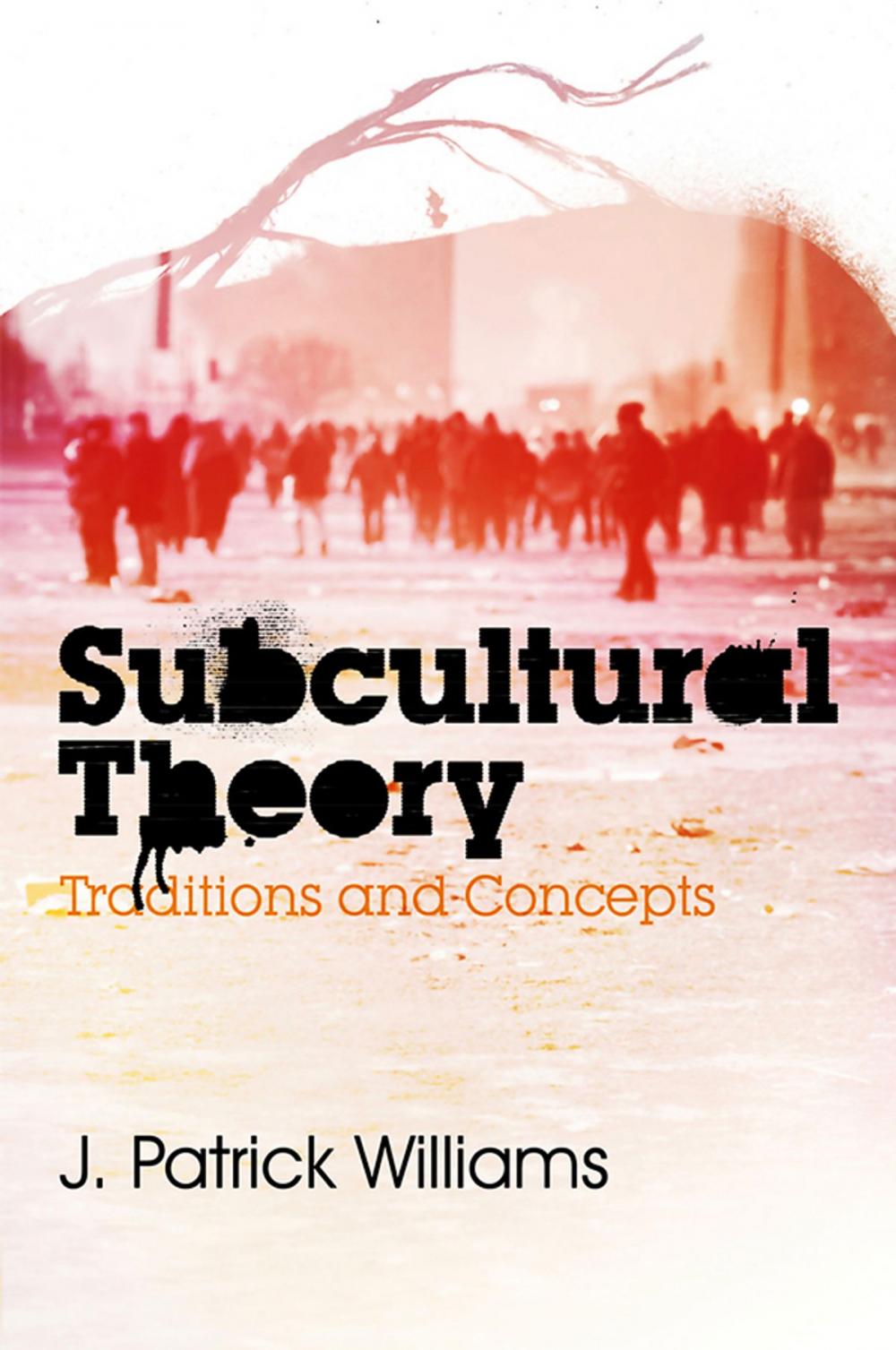 Big bigCover of Subcultural Theory