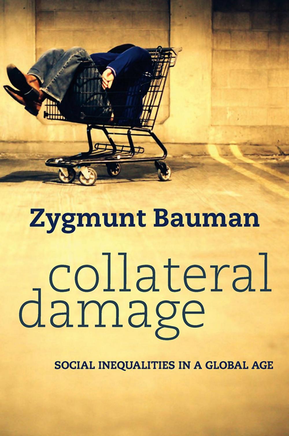 Big bigCover of Collateral Damage