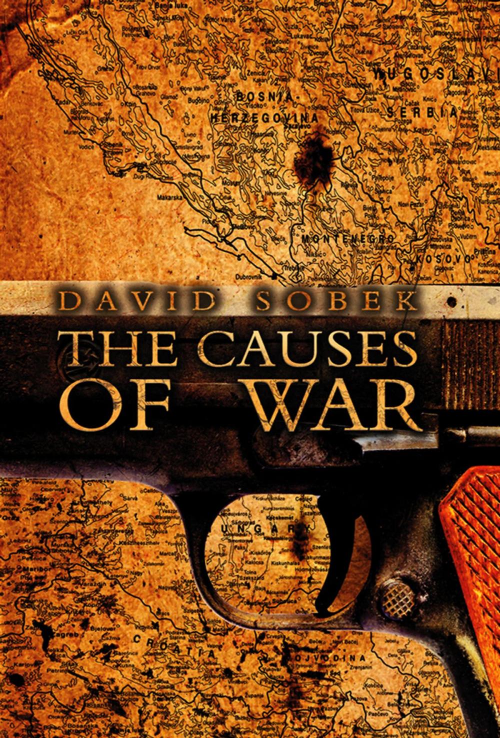 Big bigCover of The Causes of War