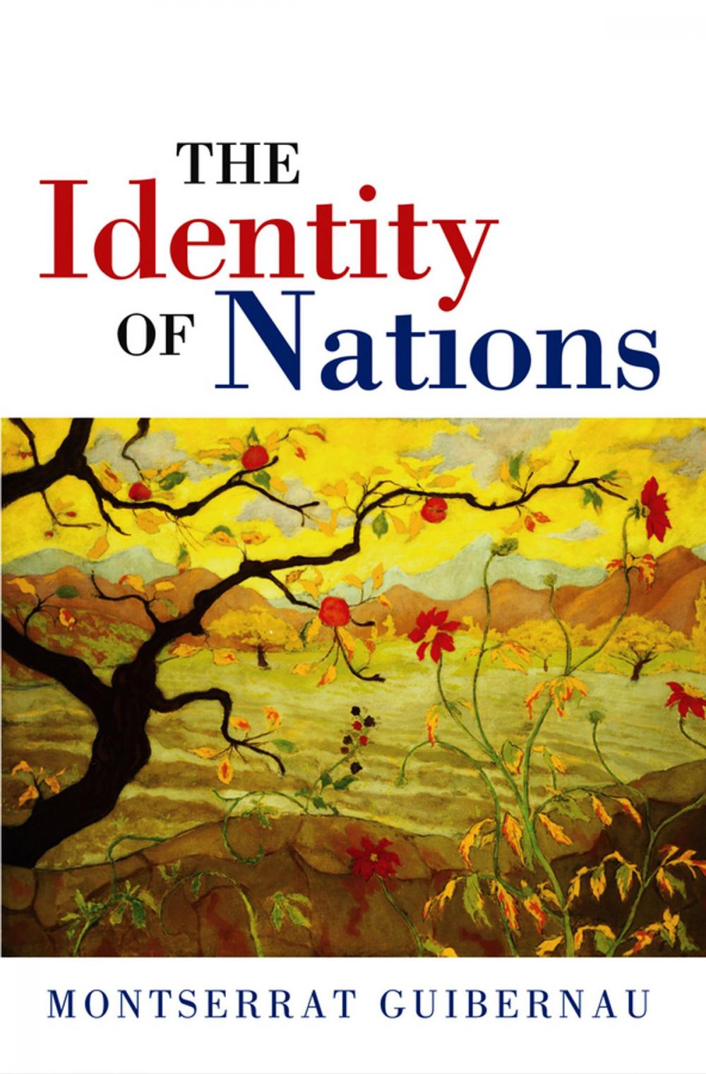 Big bigCover of The Identity of Nations