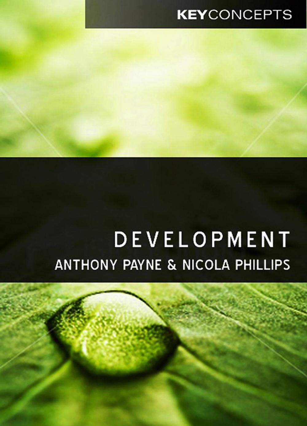 Big bigCover of Development