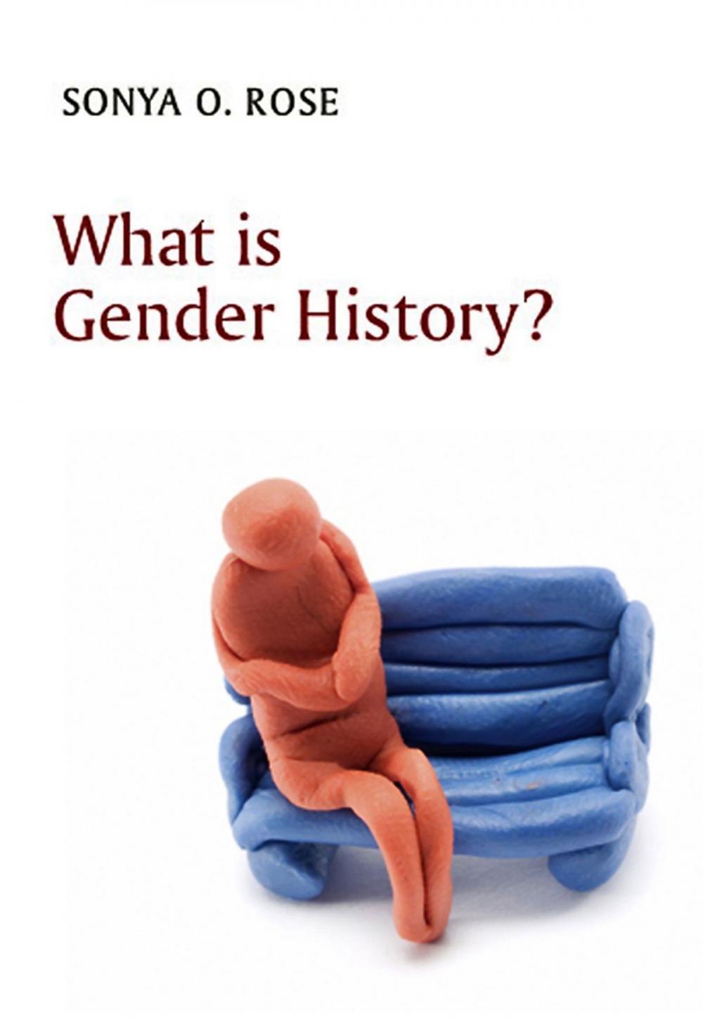 Big bigCover of What is Gender History?