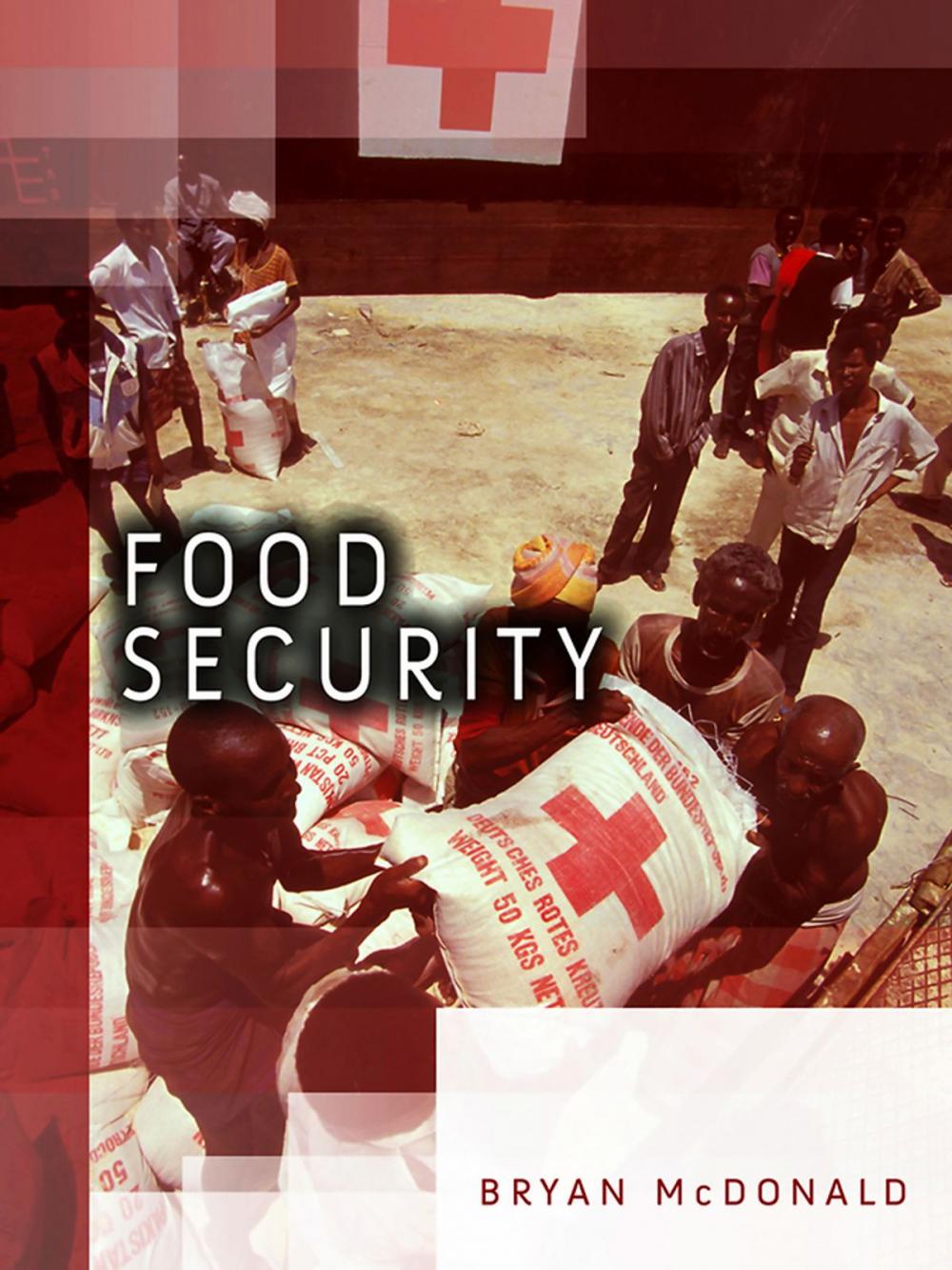 Big bigCover of Food Security