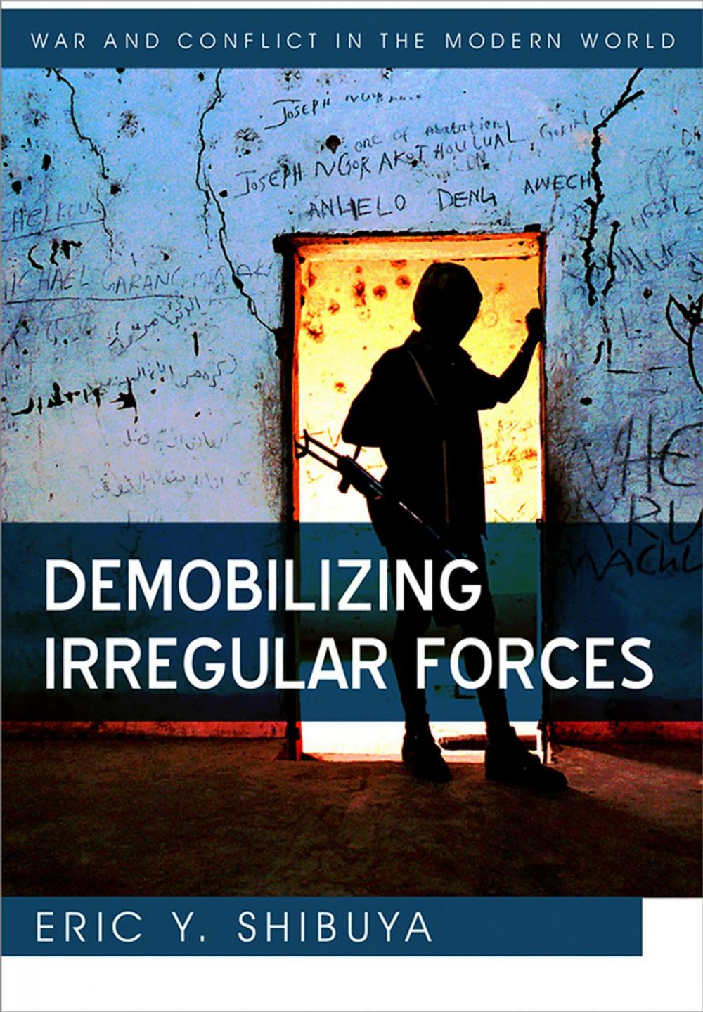 Big bigCover of Demobilizing Irregular Forces