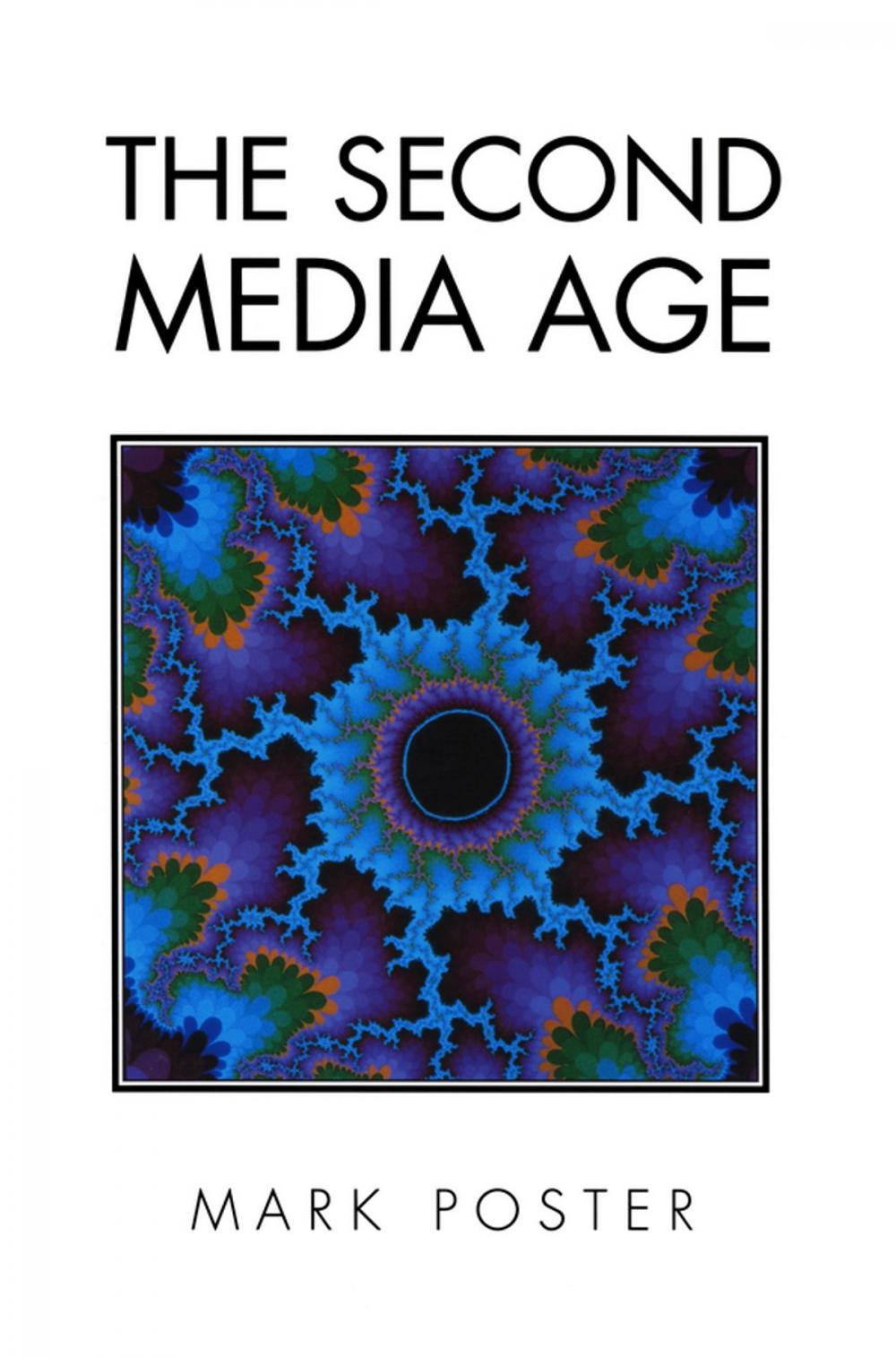 Big bigCover of The Second Media Age