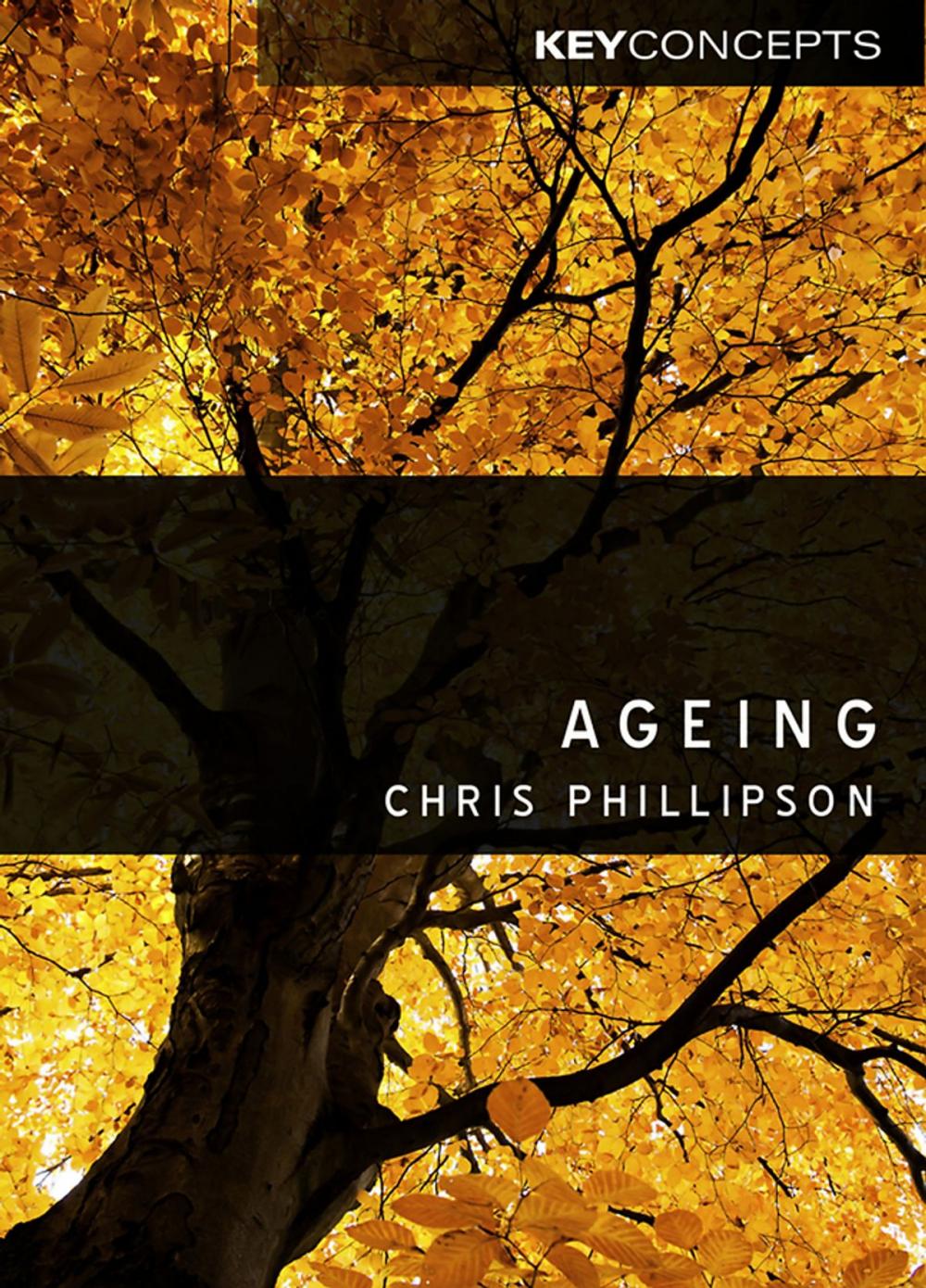 Big bigCover of Ageing