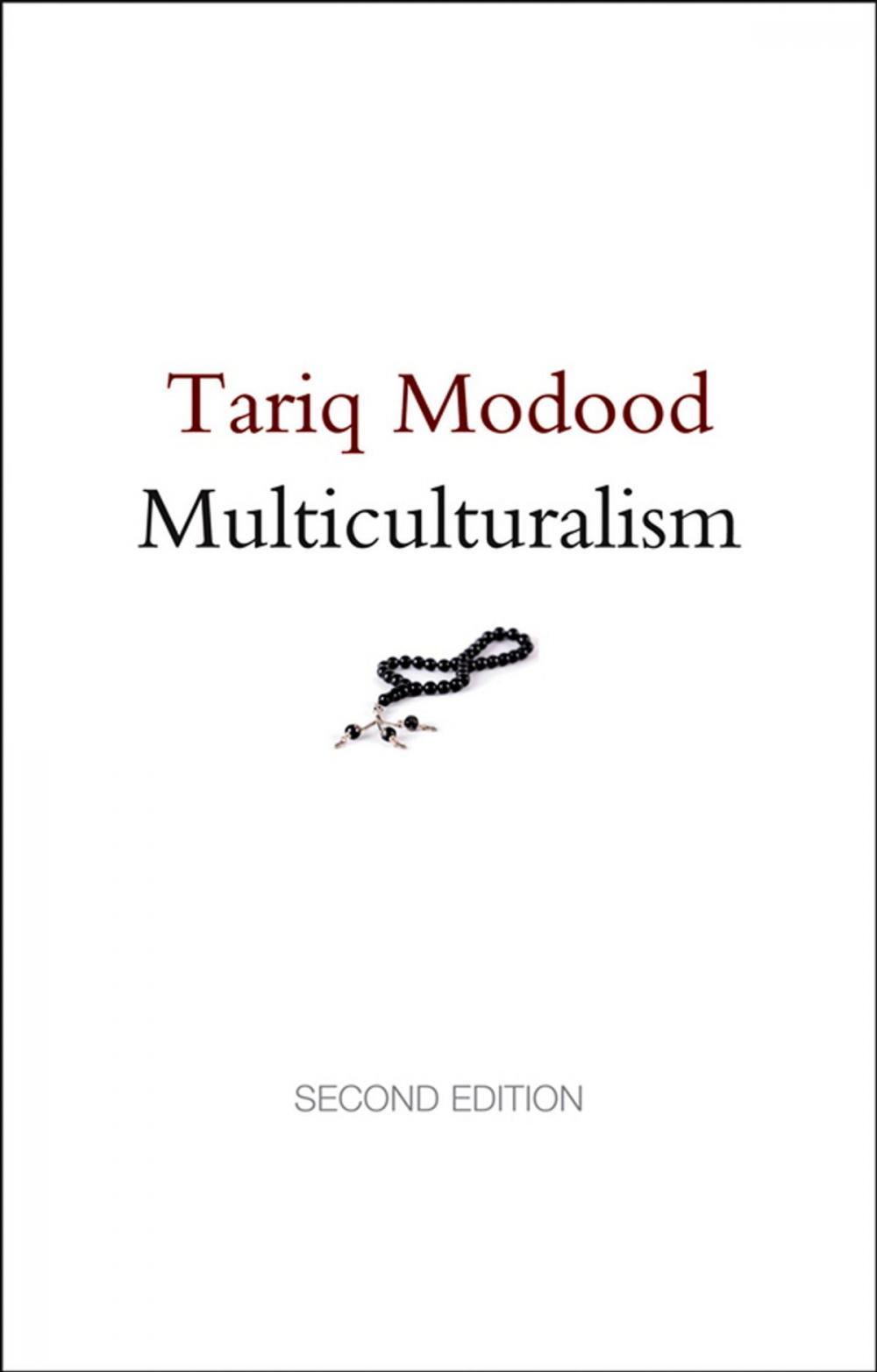 Big bigCover of Multiculturalism