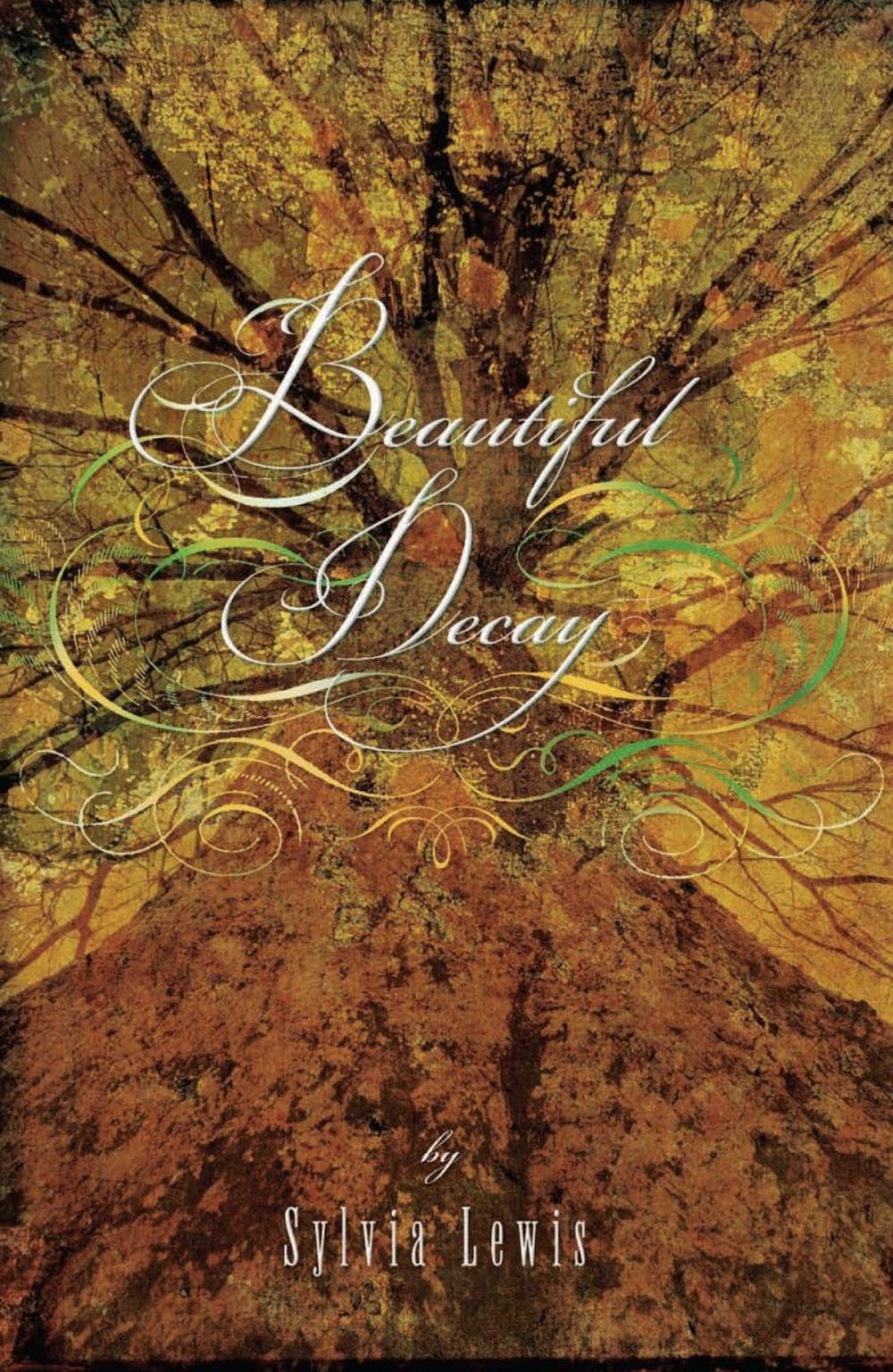 Big bigCover of Beautiful Decay