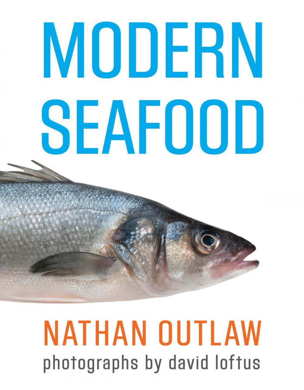 Big bigCover of Modern Seafood