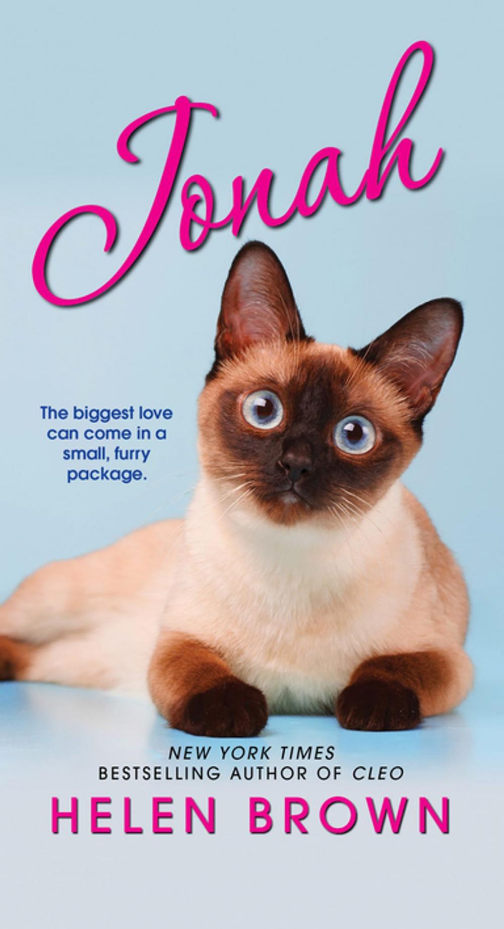 Big bigCover of Cats & Daughters: