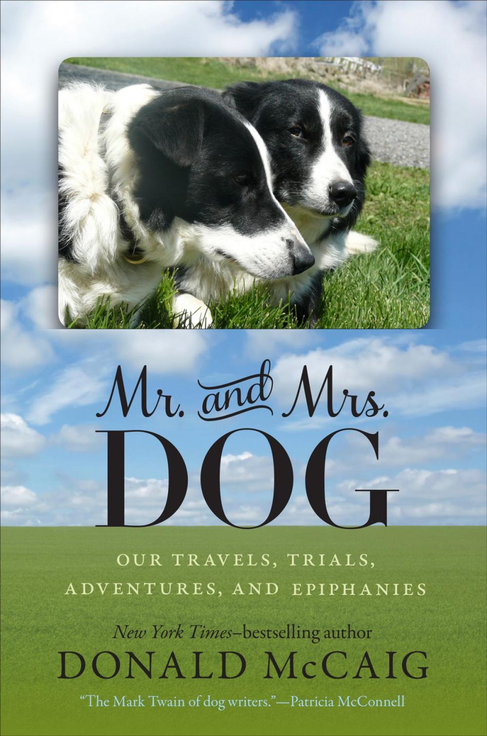 Big bigCover of Mr. and Mrs. Dog