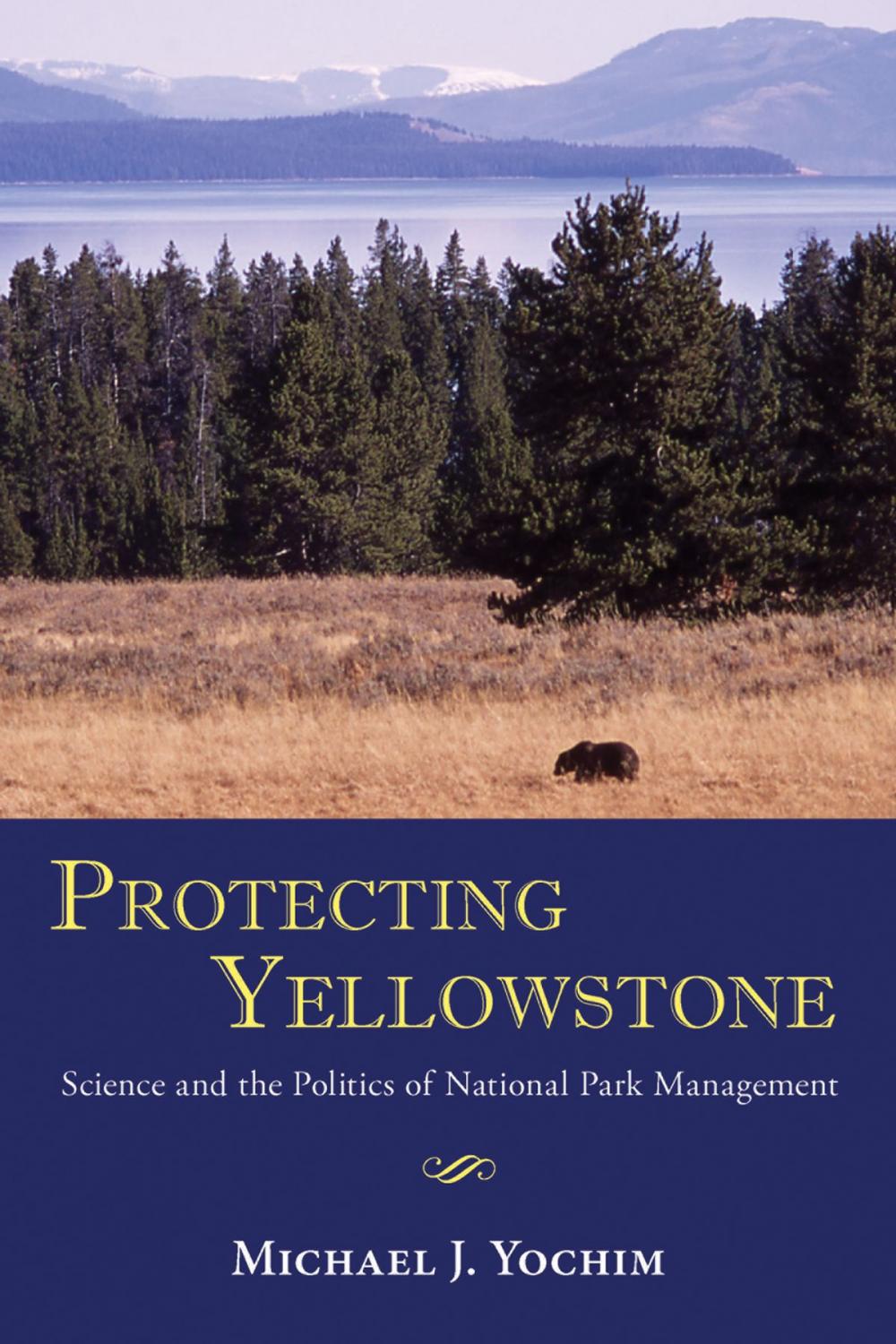 Big bigCover of Protecting Yellowstone