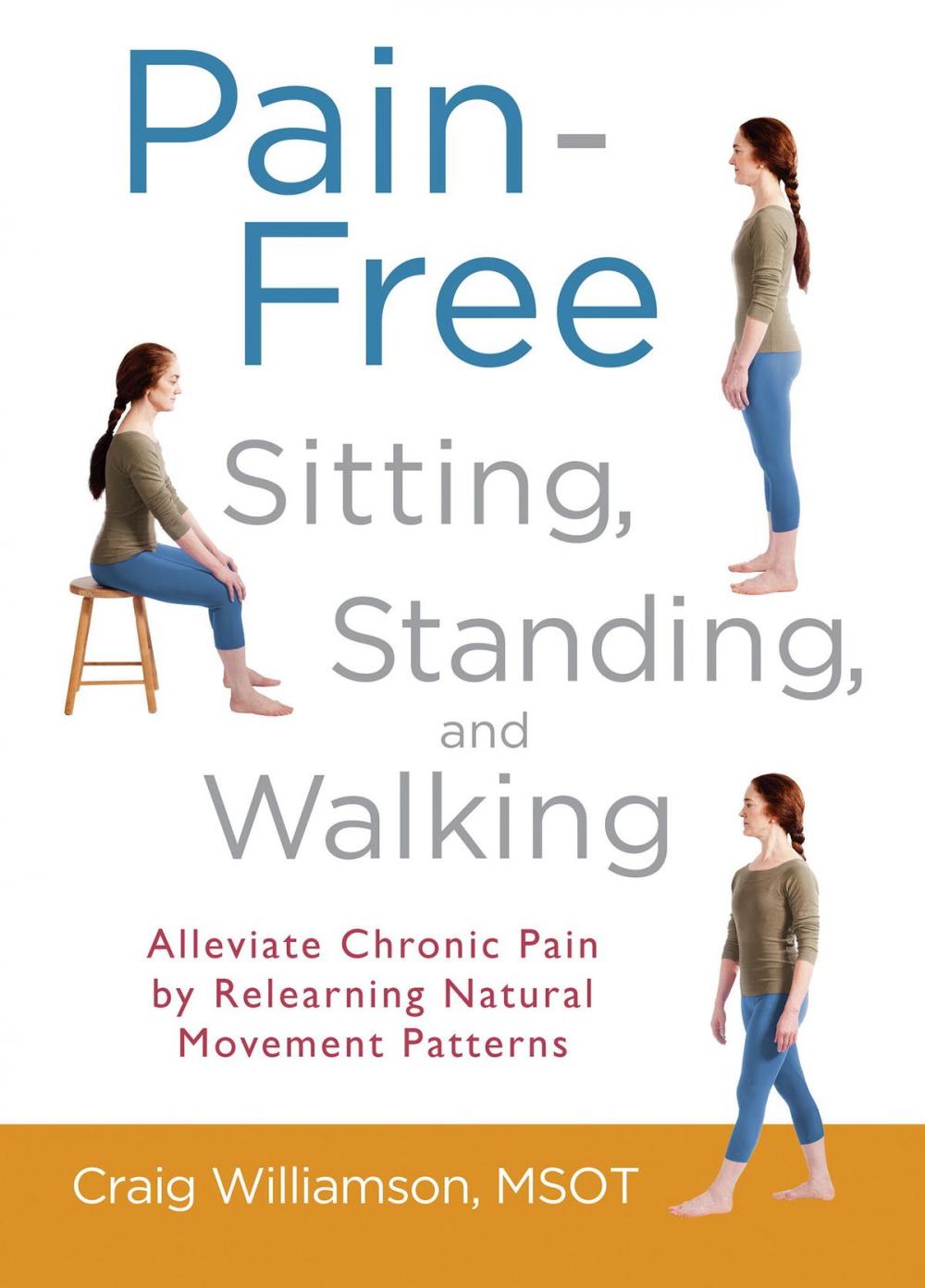 Big bigCover of Pain-Free Sitting, Standing, and Walking