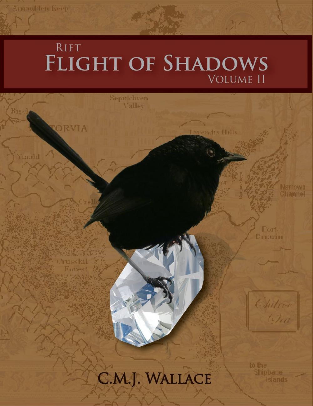 Big bigCover of Flight of Shadows