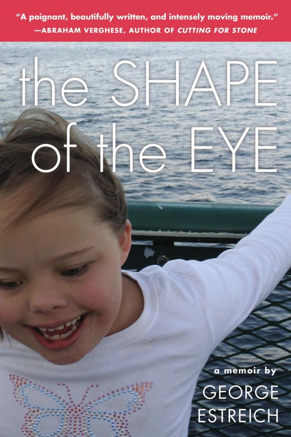 Big bigCover of The Shape of the Eye