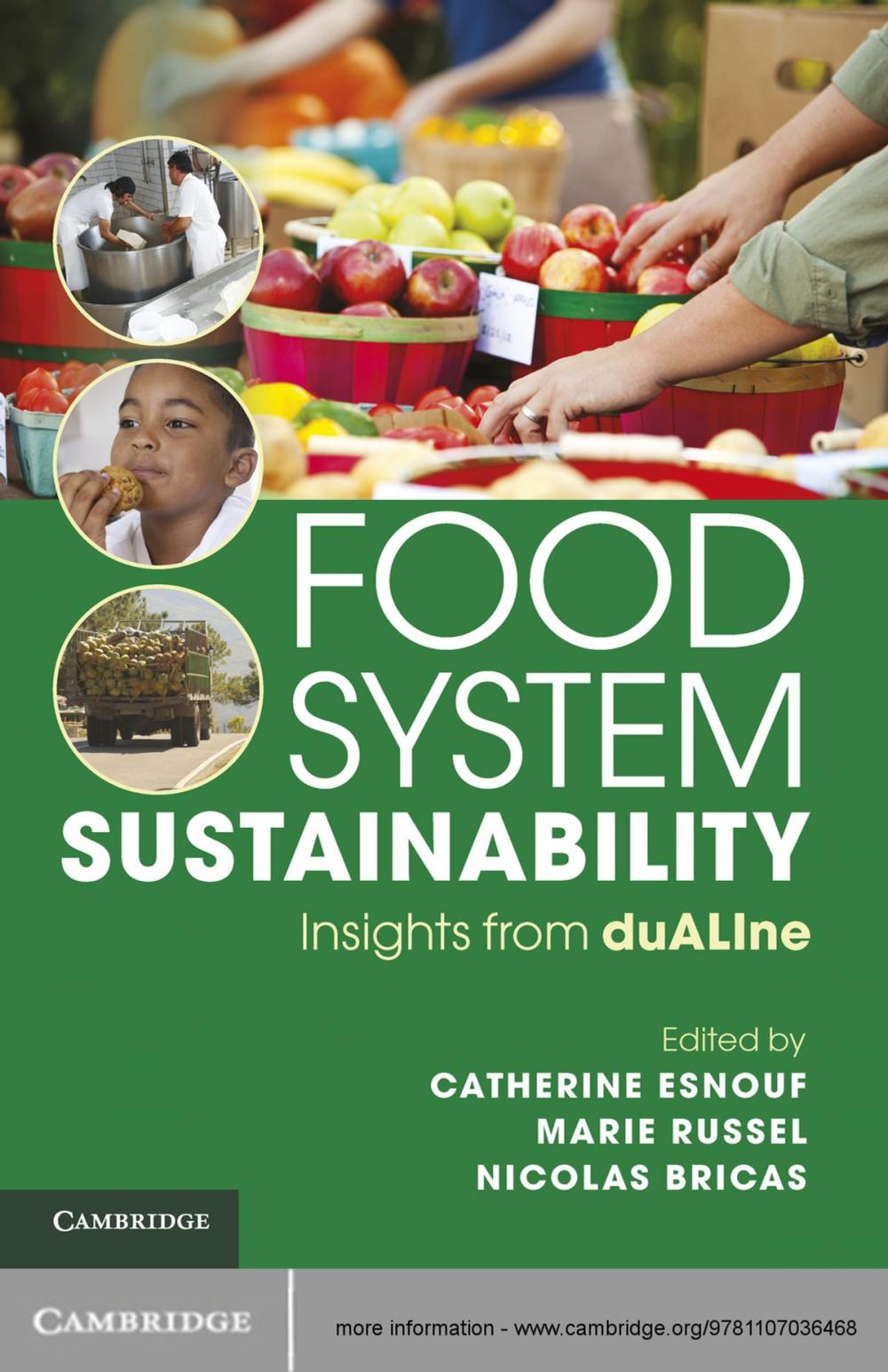 Big bigCover of Food System Sustainability